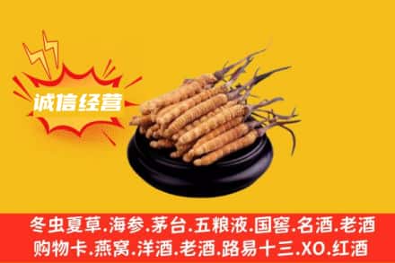 延安市富县回收冬虫夏草